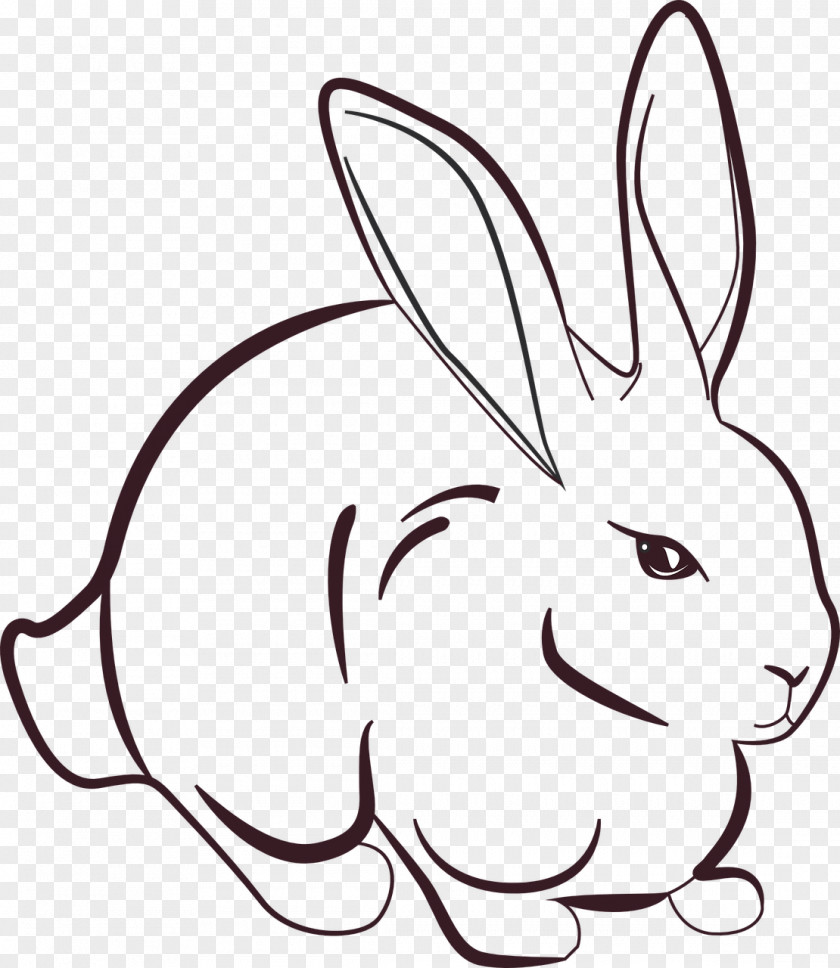 Lotus Jade Rabbit Miffy Line Art Drawing PNG