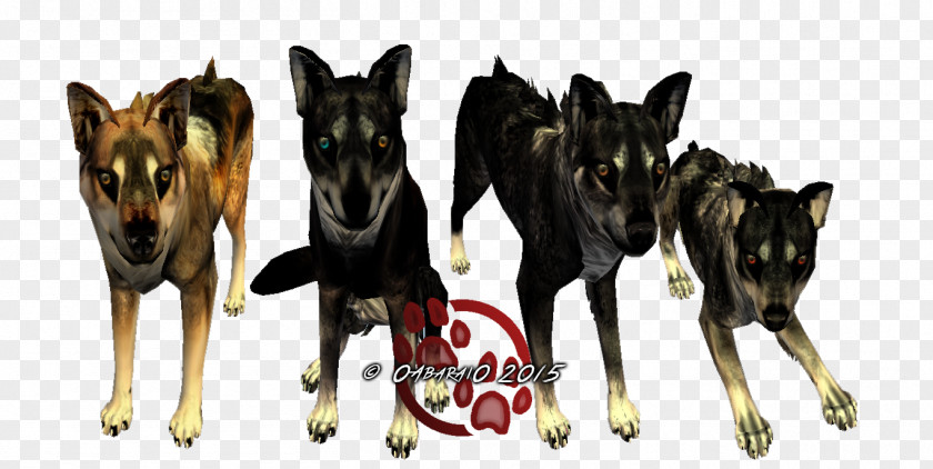 Pack German Shepherd Siberian Husky Hyena Feral Animal PNG