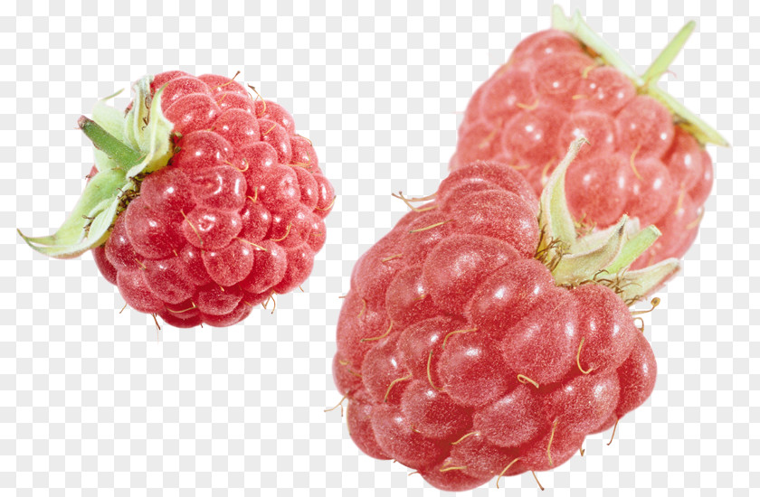 Raspberry Gummi Candy Fruit Amora PNG