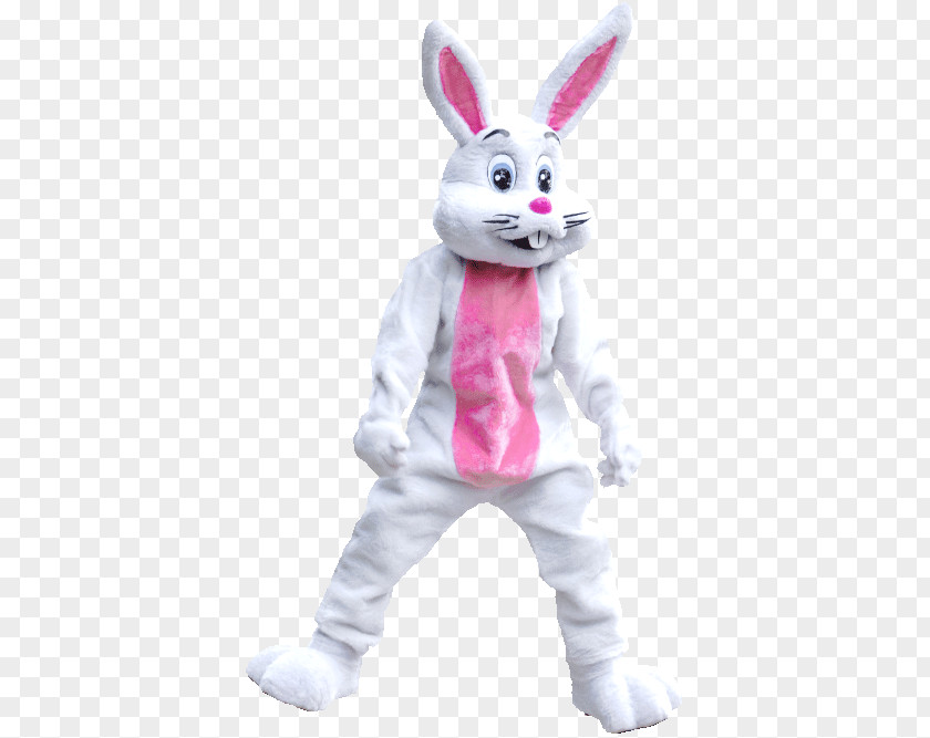 17th March Domestic Rabbit Easter Bunny Costume Mascot PNG