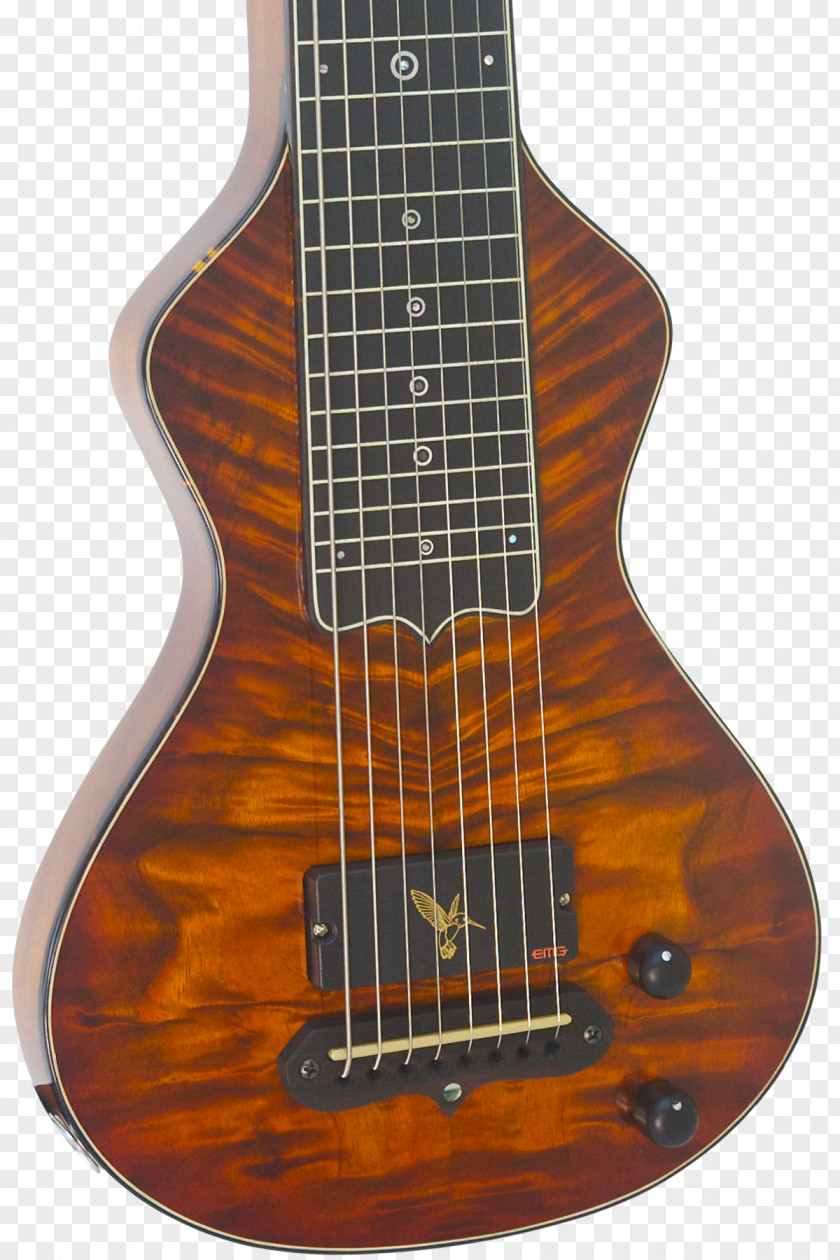 Bass Guitar Acoustic Electric Ukulele PNG