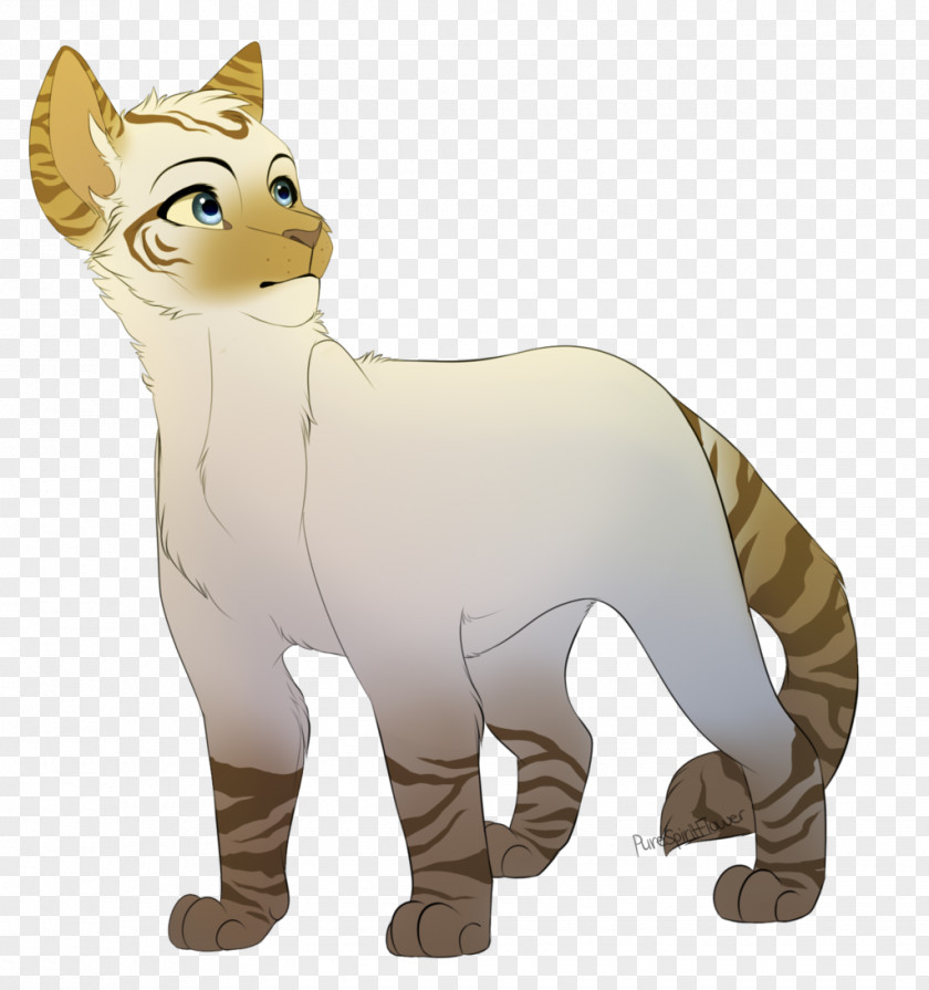 Cat Whiskers Warriors ThunderClan Tiger PNG