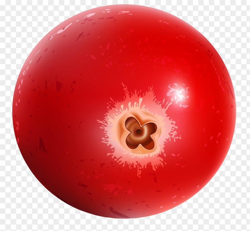 Red Tomato Vegetable PNG