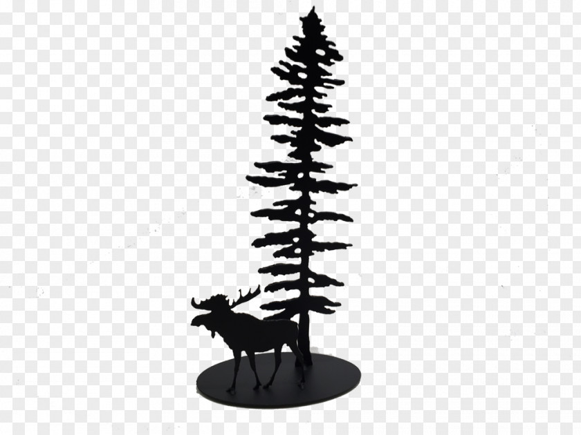 Tree Vancouver Island Metalworking Picea Sitchensis PNG