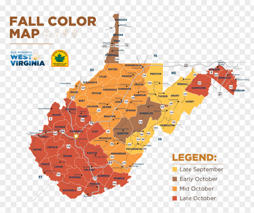 Autumn West Virginia Leaf Color PNG