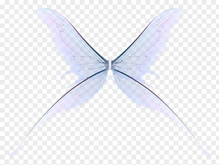 Fairy Dust Tinker Bell Butterfly Drawing Psychic Reading PNG