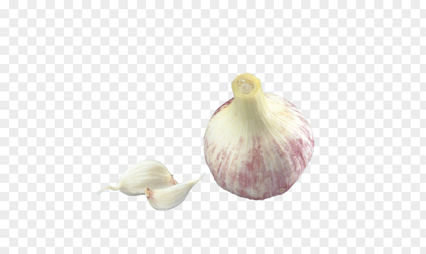 Garlic Food Cartoon PNG