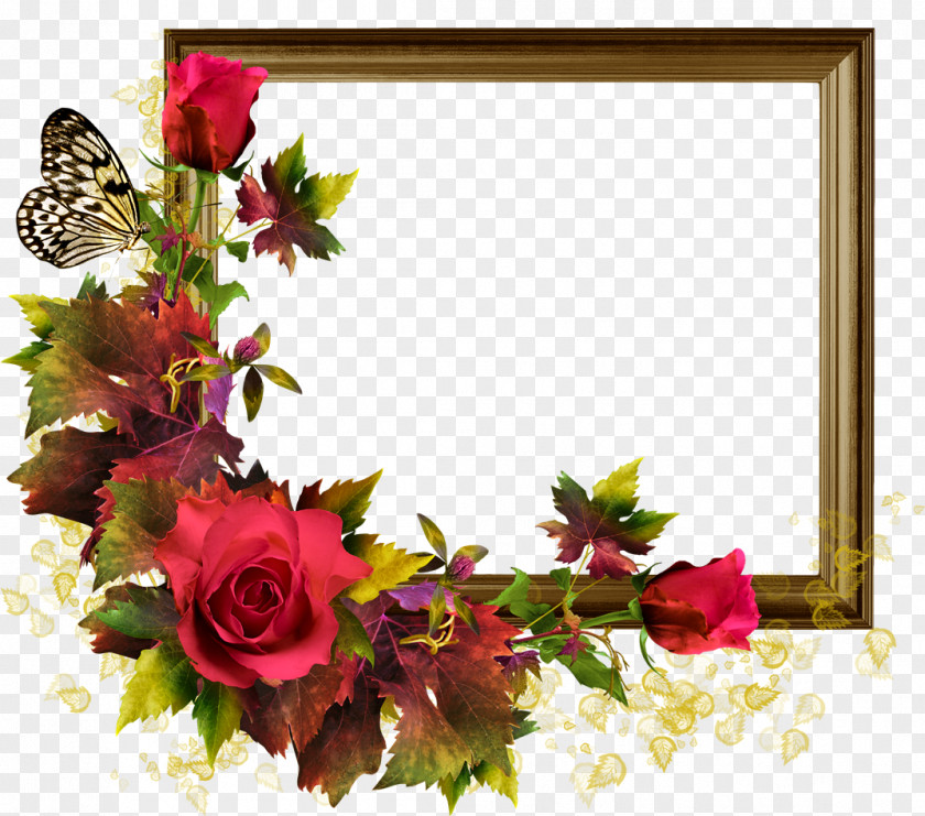 Rose Picture Frame Flower PNG