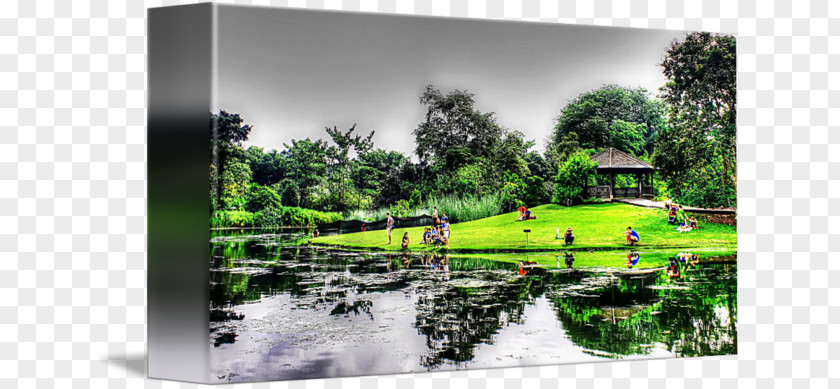 Water Resources Landscaping Property Pond PNG