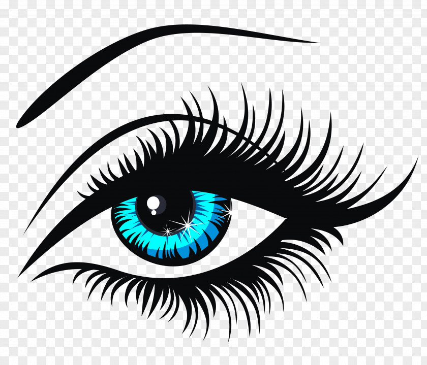 Beautiful Pupil Eyes Eyebrow Human Eye Clip Art PNG