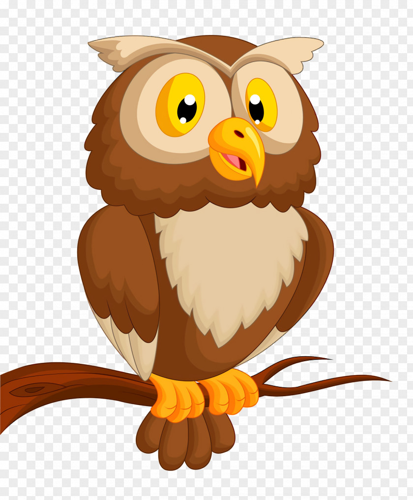 Owl Bird Cartoon Of Prey Beak PNG