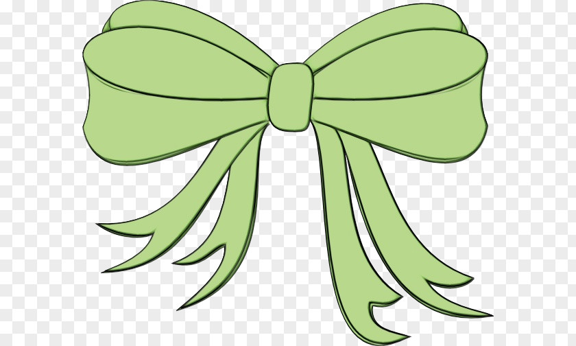 Plant Wing Green Clip Art Leaf Ribbon PNG