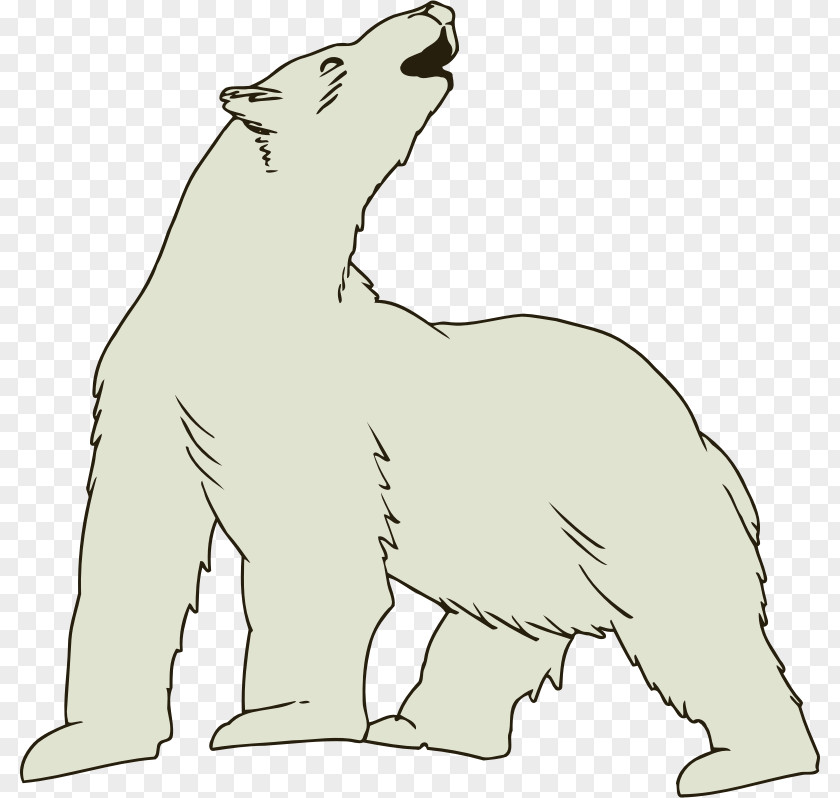Polar Bear Arctic Fox Clip Art PNG