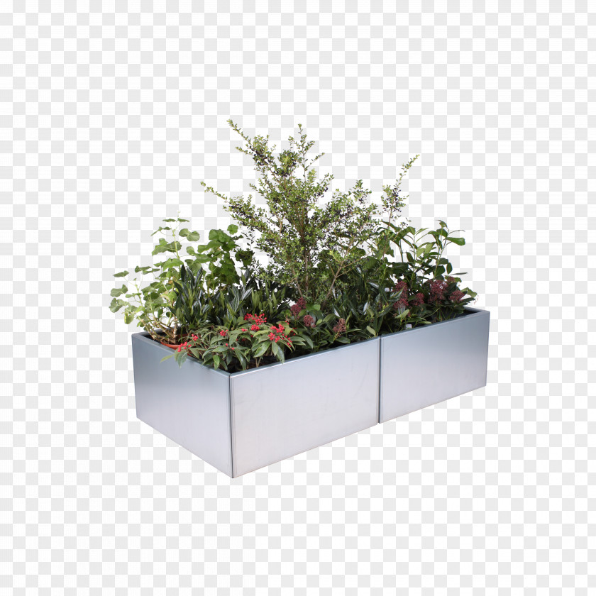 Ageratum Houstonianum Flowerpot .de .no Glass Fiber Wood PNG