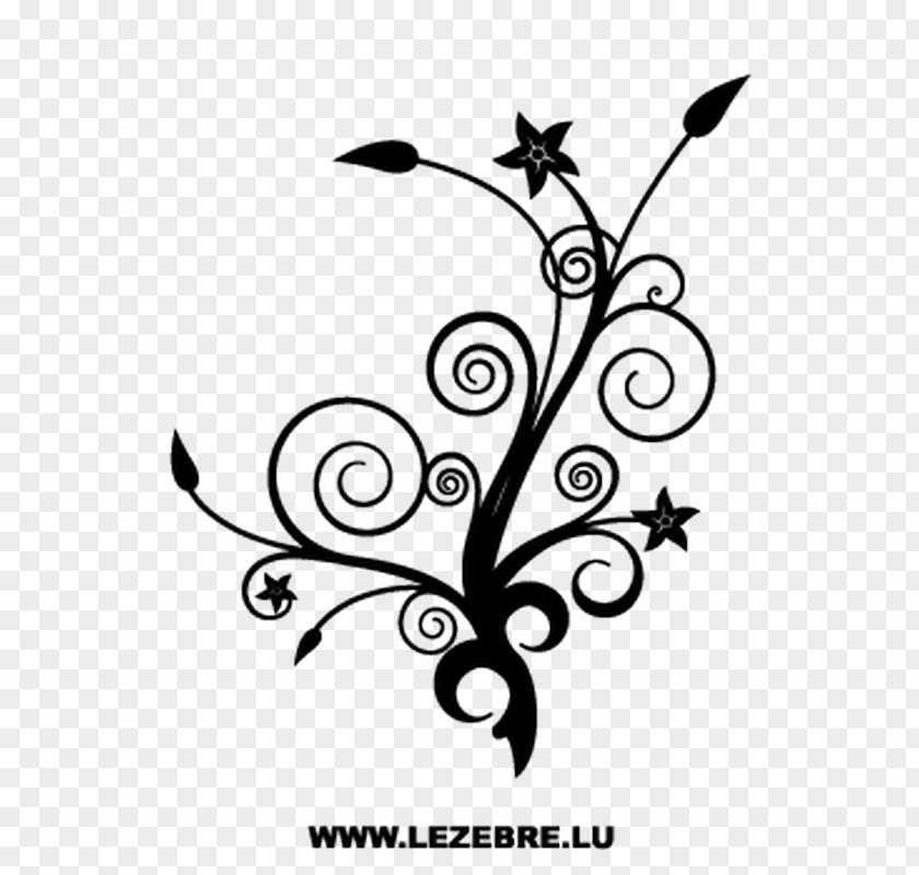 Design Vector Graphics Floral Illustration PNG