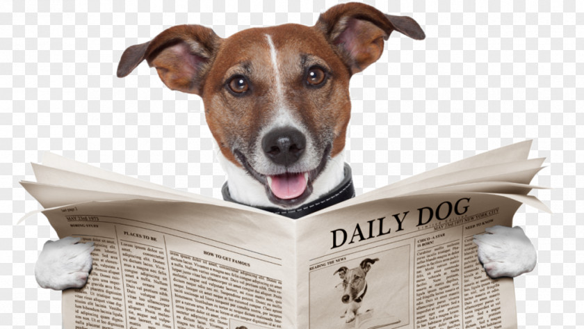 Dog Training Stock Photography Newspaper Veterinarian PNG