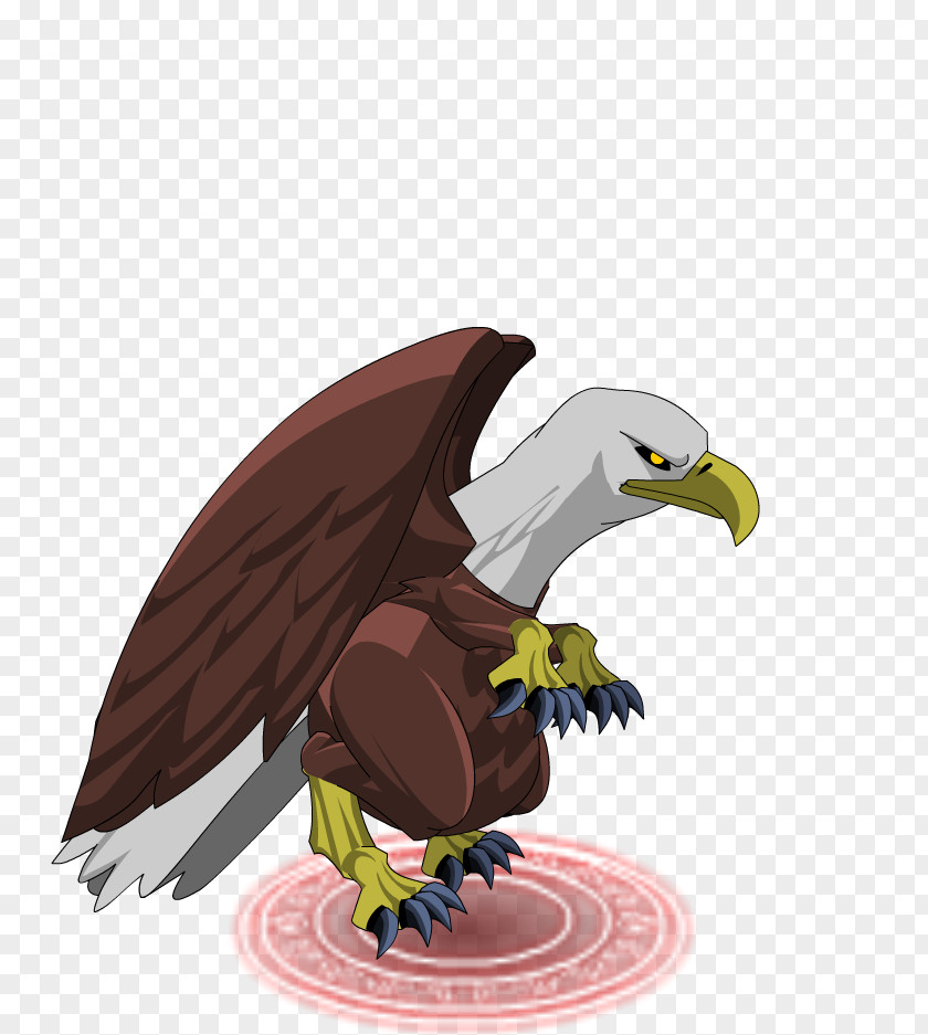 Eagle Bald Hawk Vulture PNG