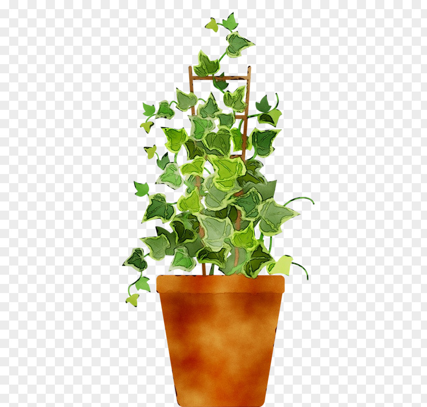 Flowerpot Houseplant Leaf Herb PNG
