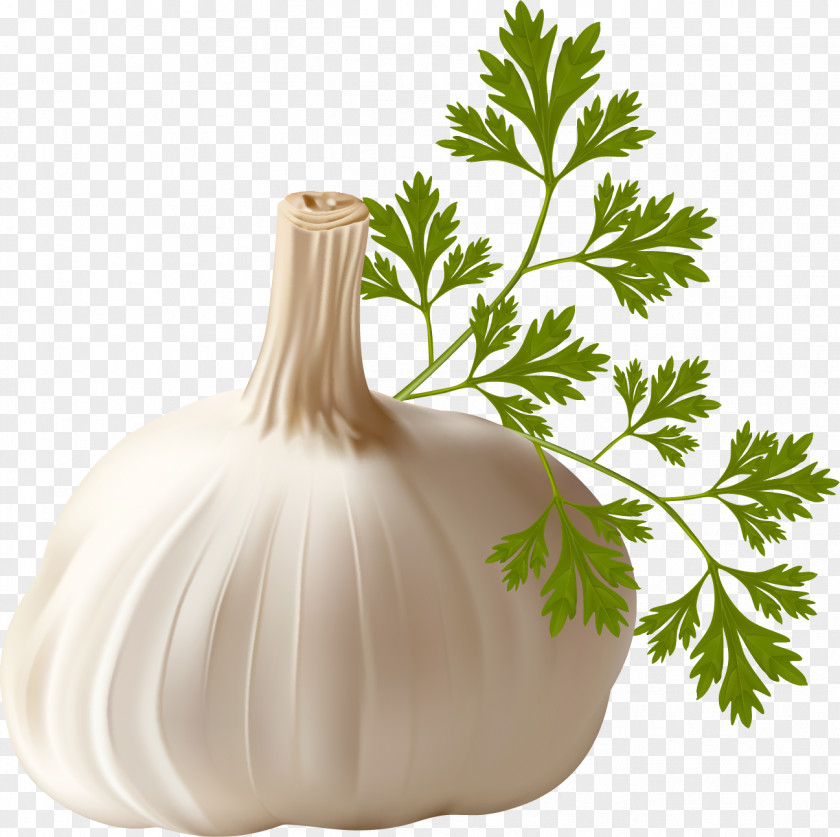 Garlic Paper Bag Plastic Grocery Store Shopping Bags & Trolleys PNG
