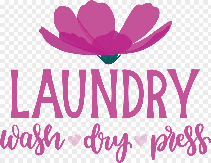 Laundry Wash Dry PNG