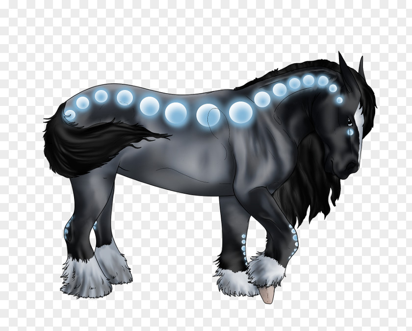 Night Show Horse Dog Canidae Snout Mammal PNG