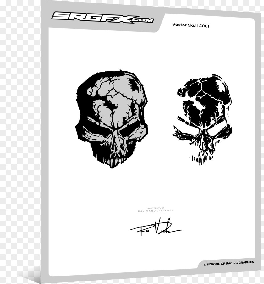 Skull Pattern Drawing Graphic Design PNG