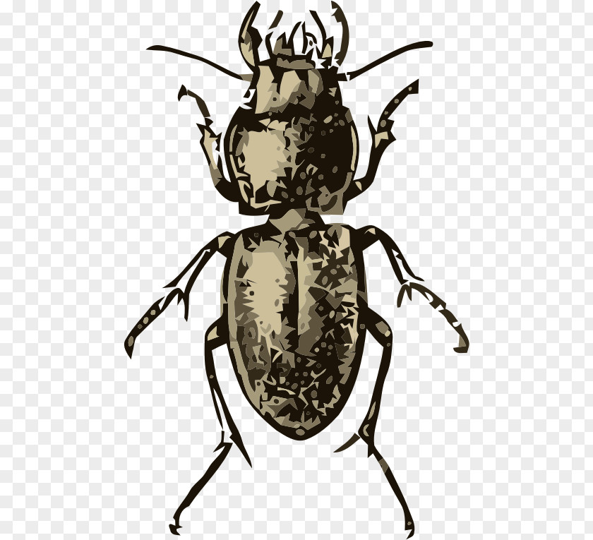 Beetle Japanese Rhinoceros Clip Art Weevil Scarabs PNG
