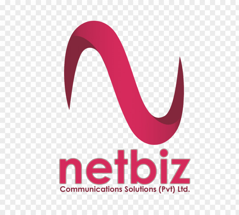 Business NET BIZ BROADBAND Logo Rozee.pk Marketing PNG