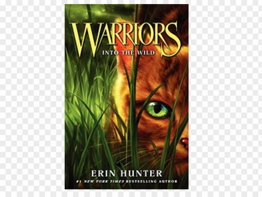 Into The Wild Forest Of Secrets Fire And Ice Darkest Hour Erin Hunter PNG