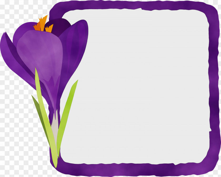 Lavender PNG