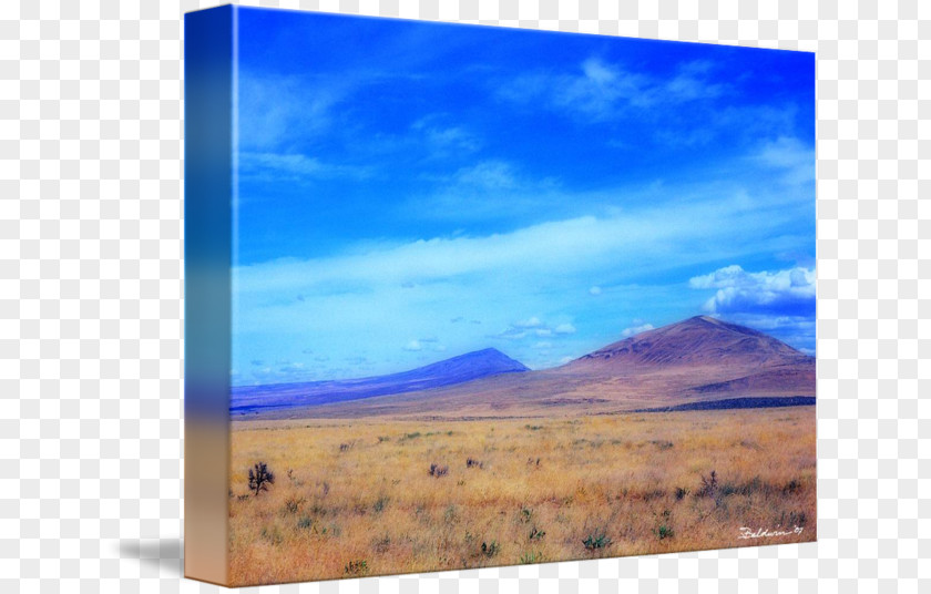 Painting Steppe Grassland Energy Picture Frames PNG