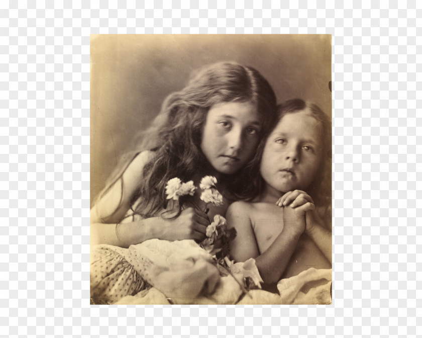 Photographer Julia Margaret Cameron Photography Art PNG