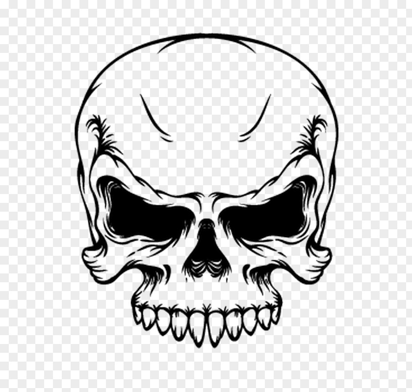 Skull Clip Art Drawing Transparency PNG