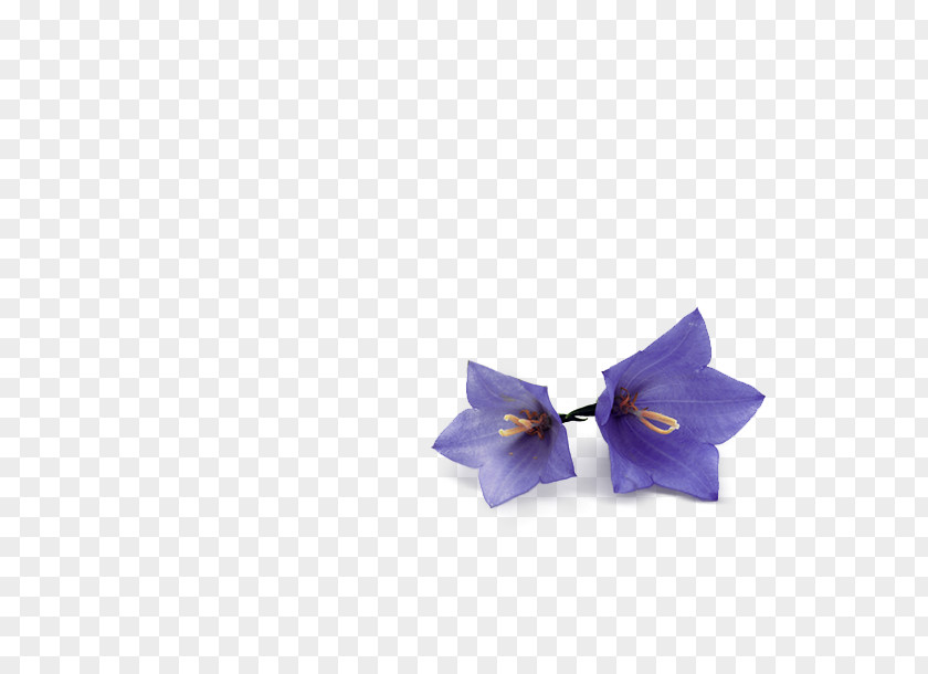 3meopcp Bow Tie PNG