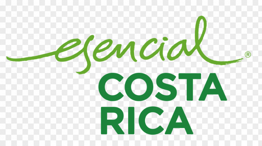 Almuerzo Esencial Costa Rica Nation Branding Instituto Costarricense De Turismo Promotora Del Comercio Exterior PNG