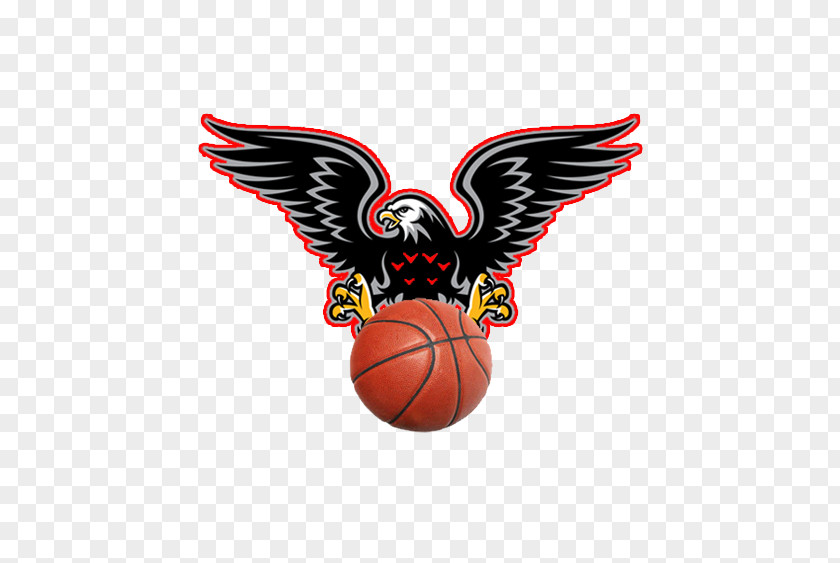 Basketball Maryland Eastern Shore Hawks Women's Atlanta Football Liga 1 PNG