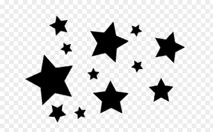 Black Star Geometrically Decagon Lake District Washington The Tranquil Otter Accommodation Logo PNG