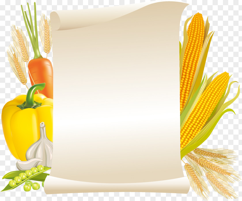 Corn Paper Label Food PNG