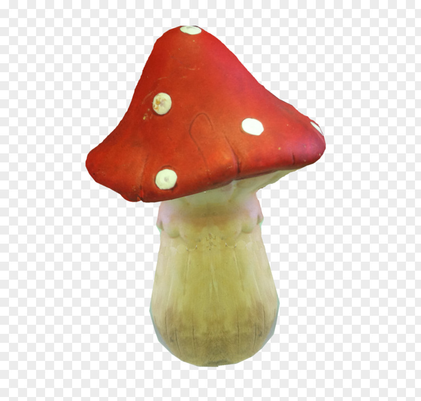 мухомор Fungus Digital Image PNG