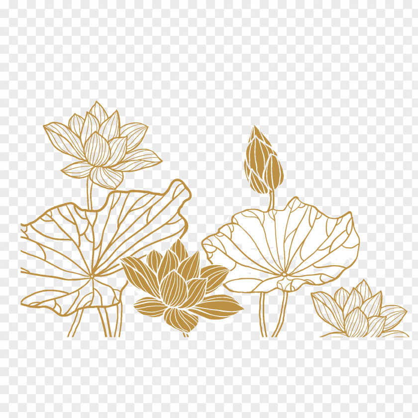 Golden Lotus PNG lotus clipart PNG