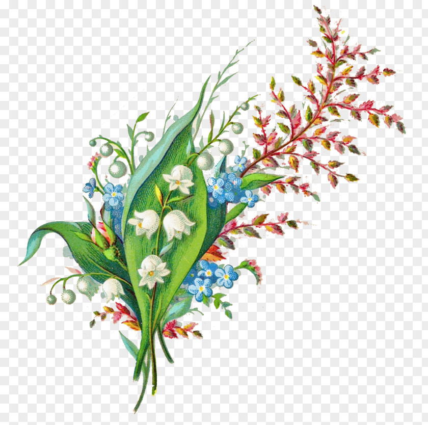 Lily Of The Valley Flower Floral Design PNG