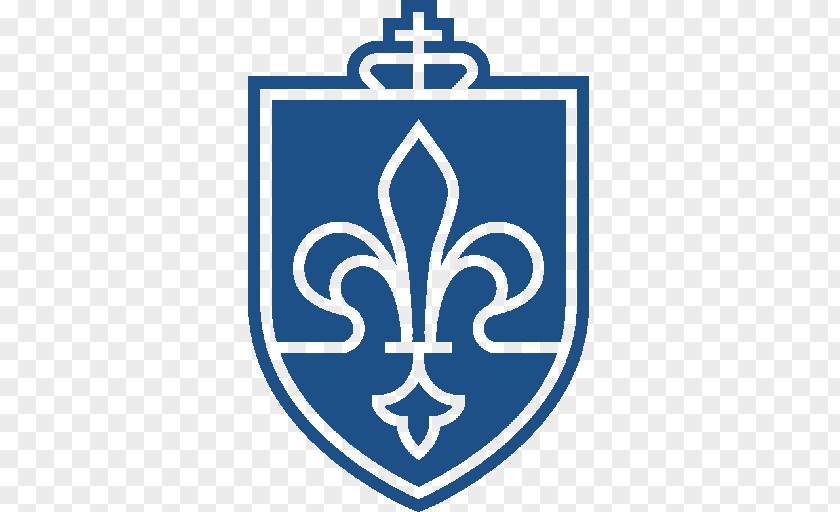Saint Louis University School Of Medicine Parks College Engineering, Aviation And Technology John Cook Business Missouri–St. PNG