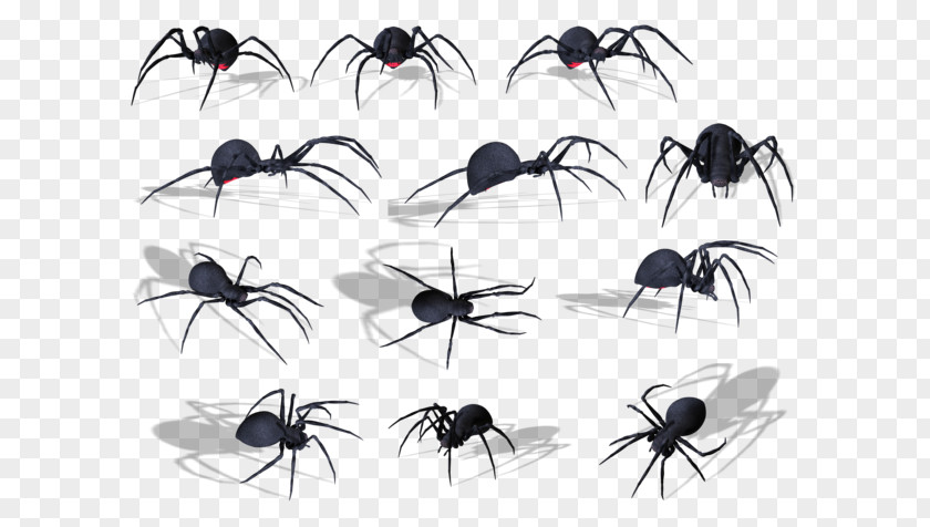 Spider Clip Art Adobe Photoshop Image PNG