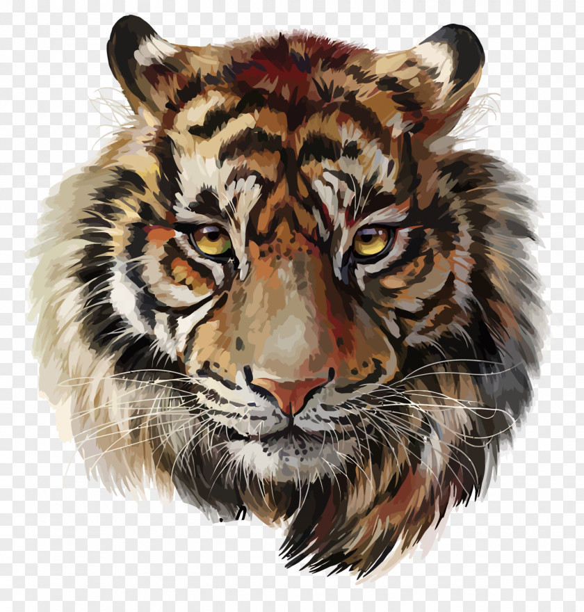 Tiger Watercolor Painting Drawing PNG