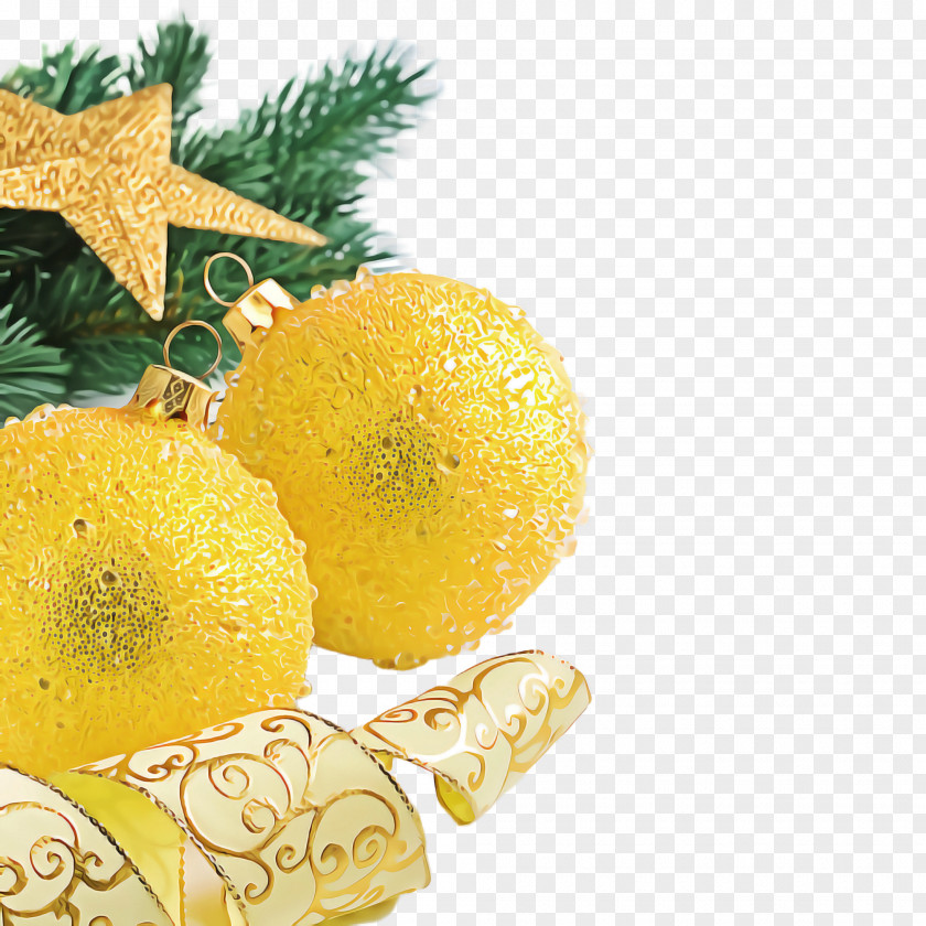 Yellow Fruit Citrus Plant Food PNG