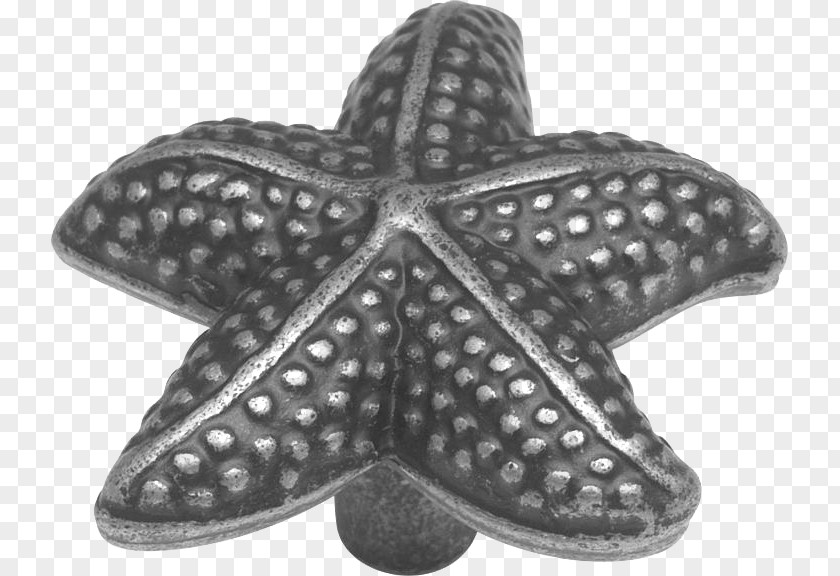 Drawer Pull Starfish Pewter Cabinetry PNG