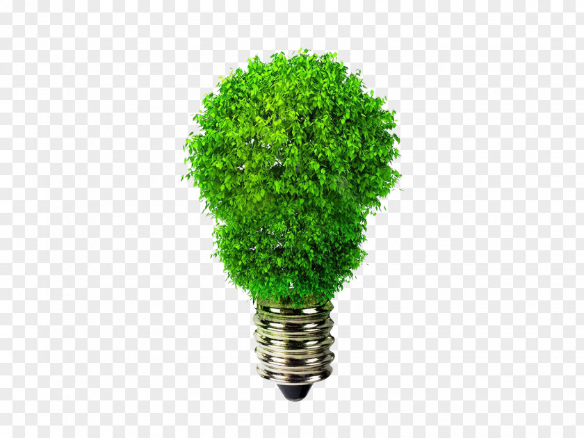 Green Energy Logo Template Download Incandescent Light Bulb Light-emitting Diode Lamp Efficient Use PNG
