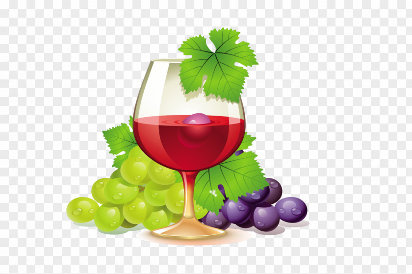 Wine White Common Grape Vine Champagne Clip Art PNG