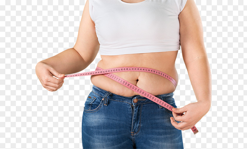Abdominal Obesity Adipose Tissue Abdomen Menopause Weight Gain PNG