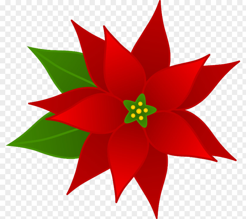 Free Floral Header Clip Art Christmas Poinsettia Openclipart Joulukukka PNG
